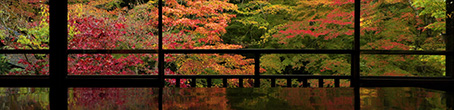Autumn in Kyoto2